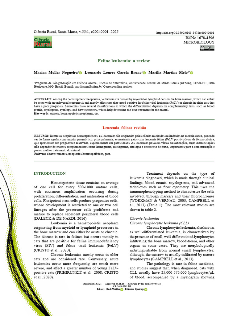 leucemia felina | PDF | Leukemia | Lymphocyte