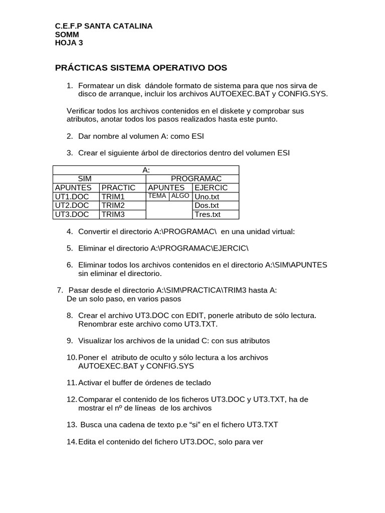Prácticas del Sistema Operativo DOS | PDF | Archivo de computadora ...