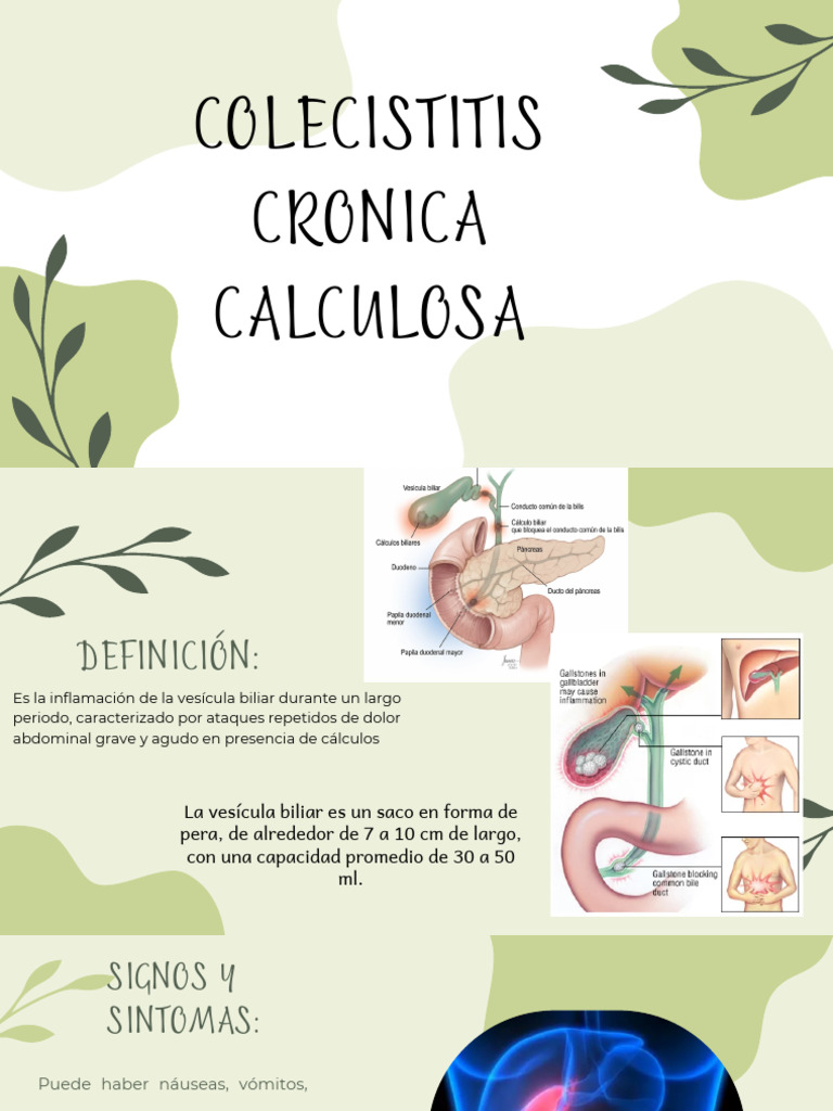 Colecistitis Cronica Calculosa | PDF | Vesícula biliar | Medicina CLINICA
