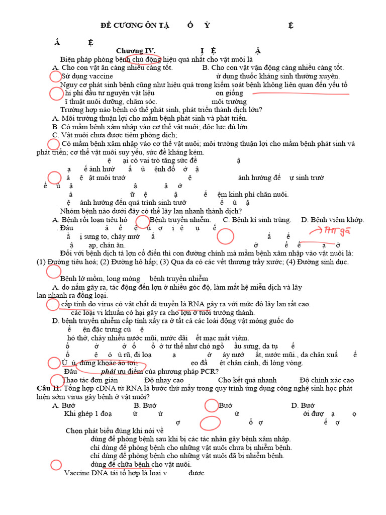 ĐỀ CƯƠNG ÔN TẬP CKII. CN11.hs 3 | PDF