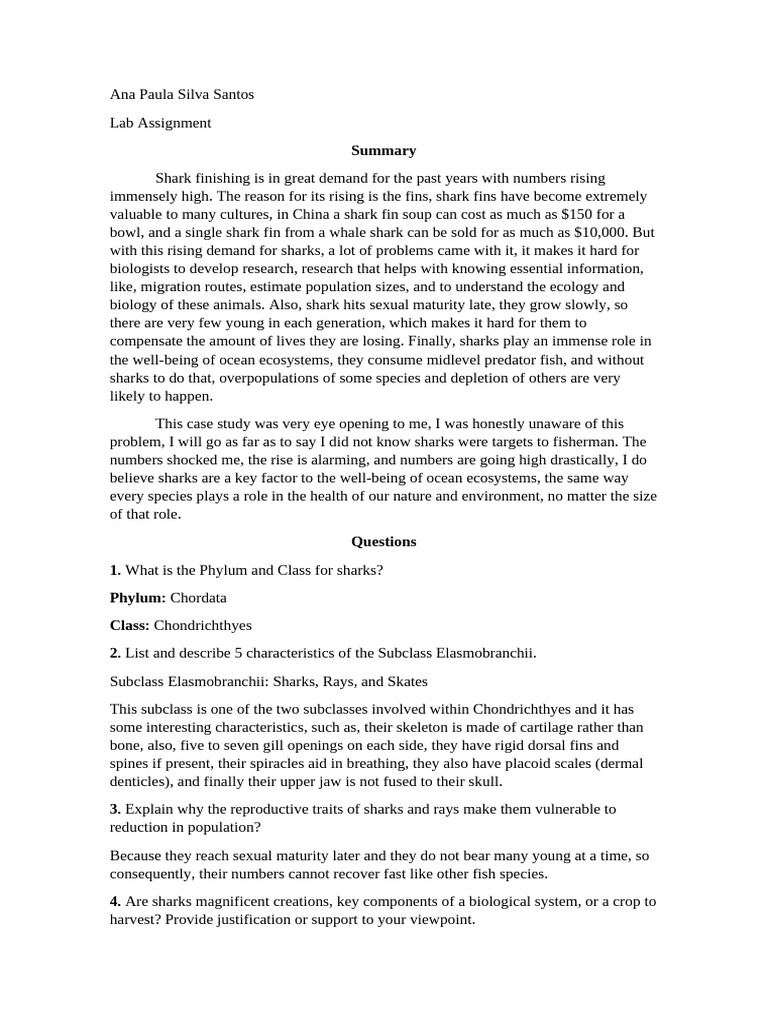 Shark+Case+Study+ | PDF | Sharks | Elasmobranchii