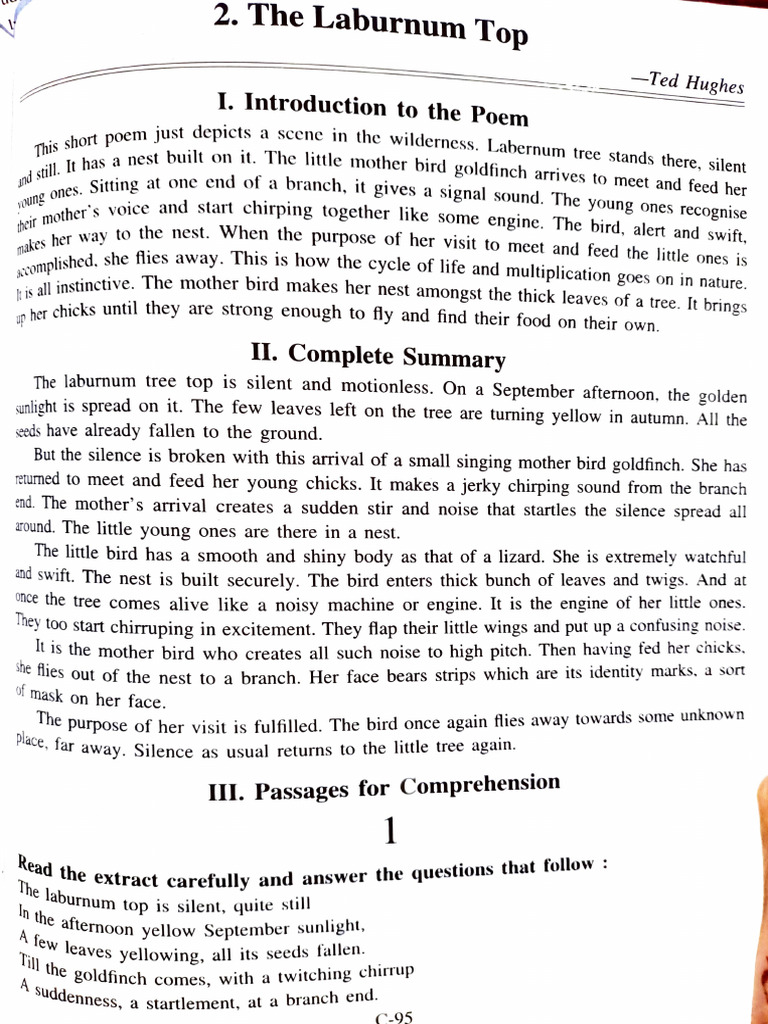 The Laburnum Top - Ted Hughes | PDF