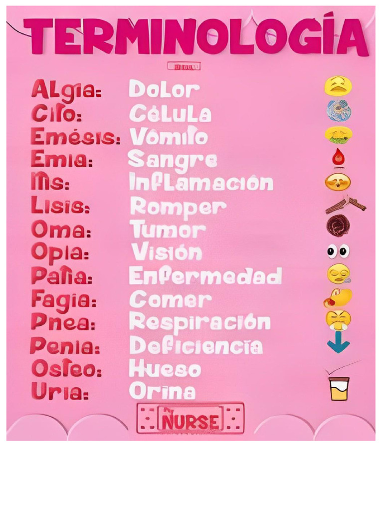 terminologias | PDF