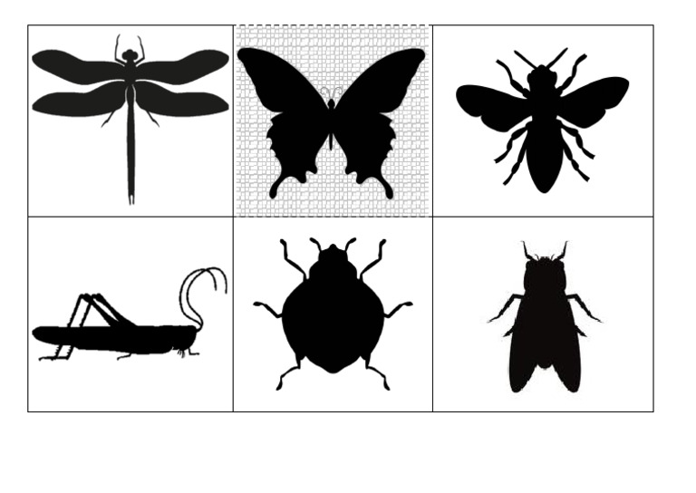Silueta Insectos 1 | PDF