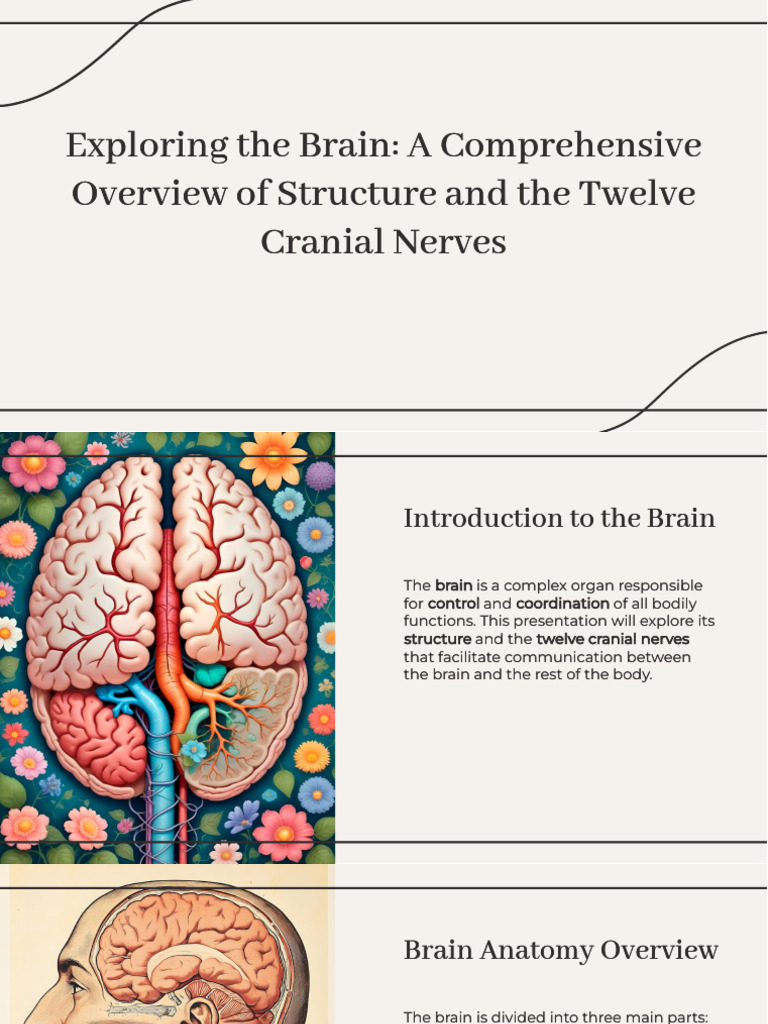 Brain Structure and Cranial Nerves Guide | PDF
