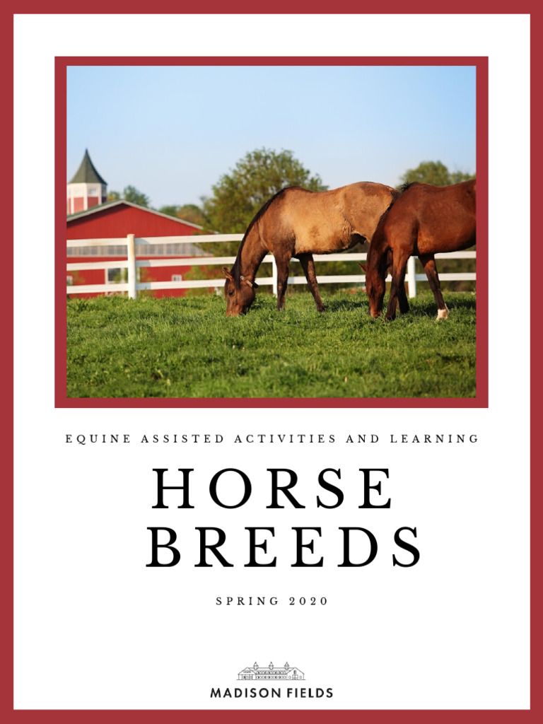 Horse Breeds | PDF | Horses | Thoroughbred