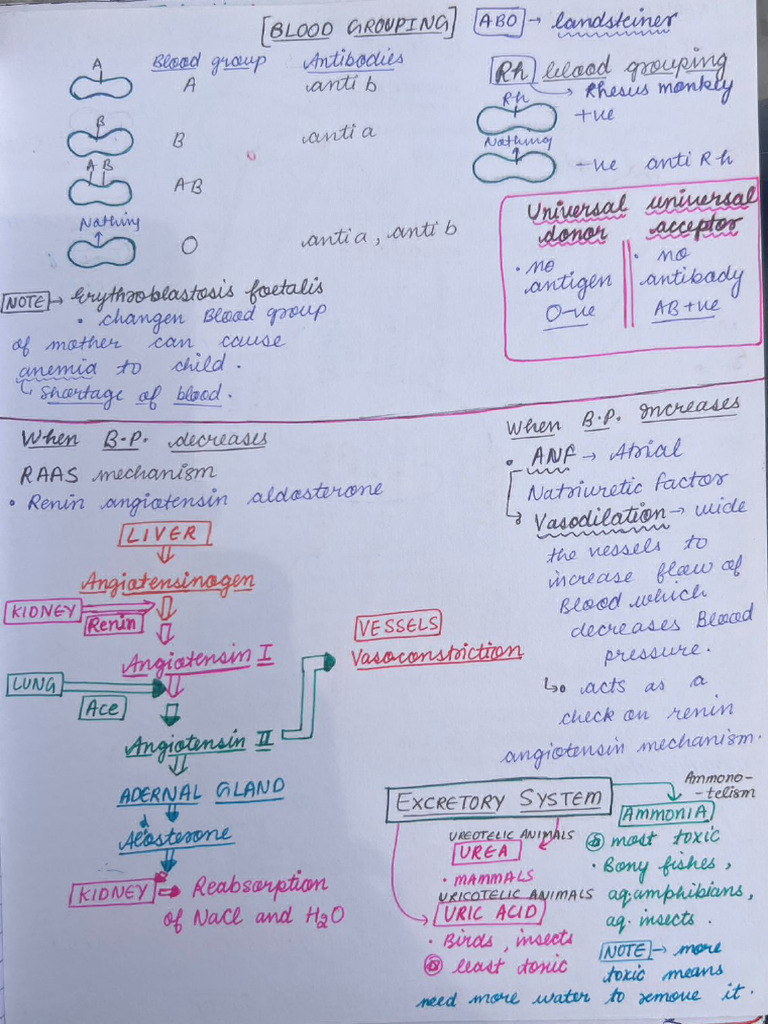 Bio Short Notes Nda | PDF