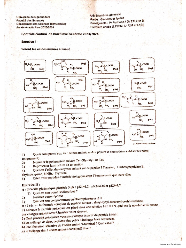 Épreuves DSBM L1 | PDF