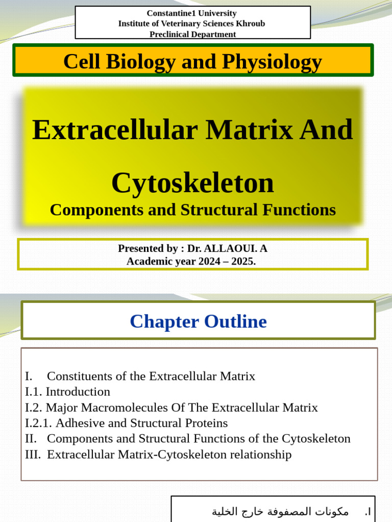 Cy To Skeleton | PDF