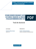 Teza de Doctorat Cetean V 251009 Redus