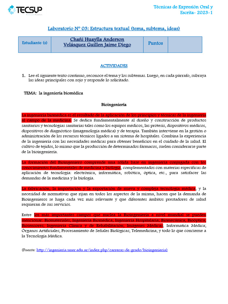 L3 - Estructura Textual (Tema, Subtema, Ideas) | PDF | Ingeniería ...