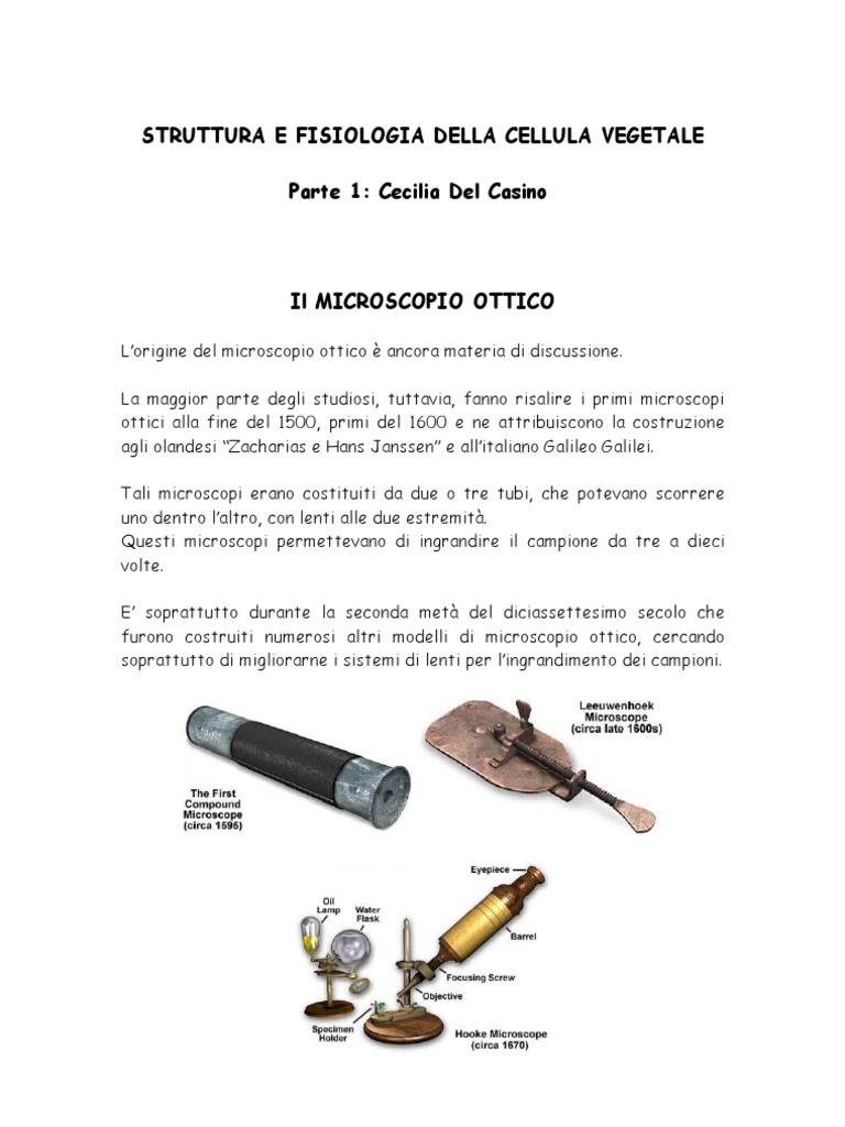 Struttura e Fisiologia Della Cellula Vegetale | PDF