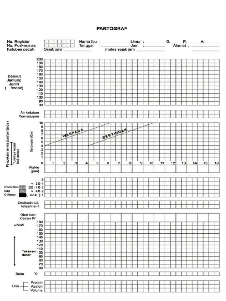 Partograf | PDF