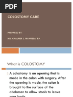 Download Changing Fecal Pouching Colostomy by Champola Pola Camille Bernardo SN80899661 doc pdf