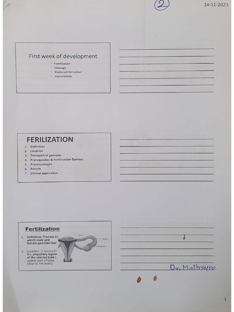 Embryology 2 | PDF