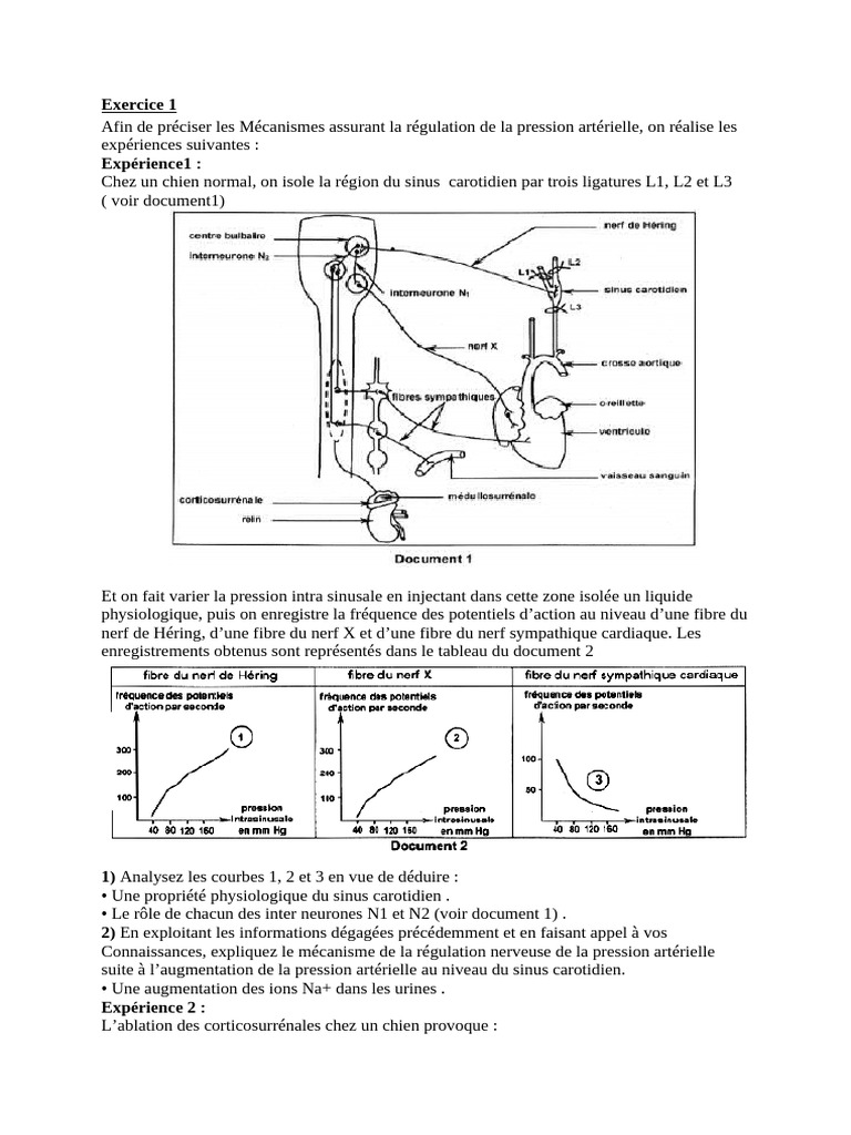 Mécanismes de régulation de la pression artérielle | PDF | Hypertension ...