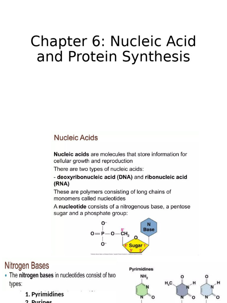 DNA and Protein Synthesis Overview | PDF