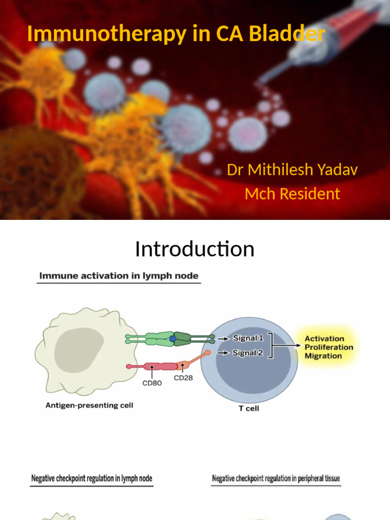 Immunotherapy Strategies for Bladder Cancer | PDF | Medical Specialties ...
