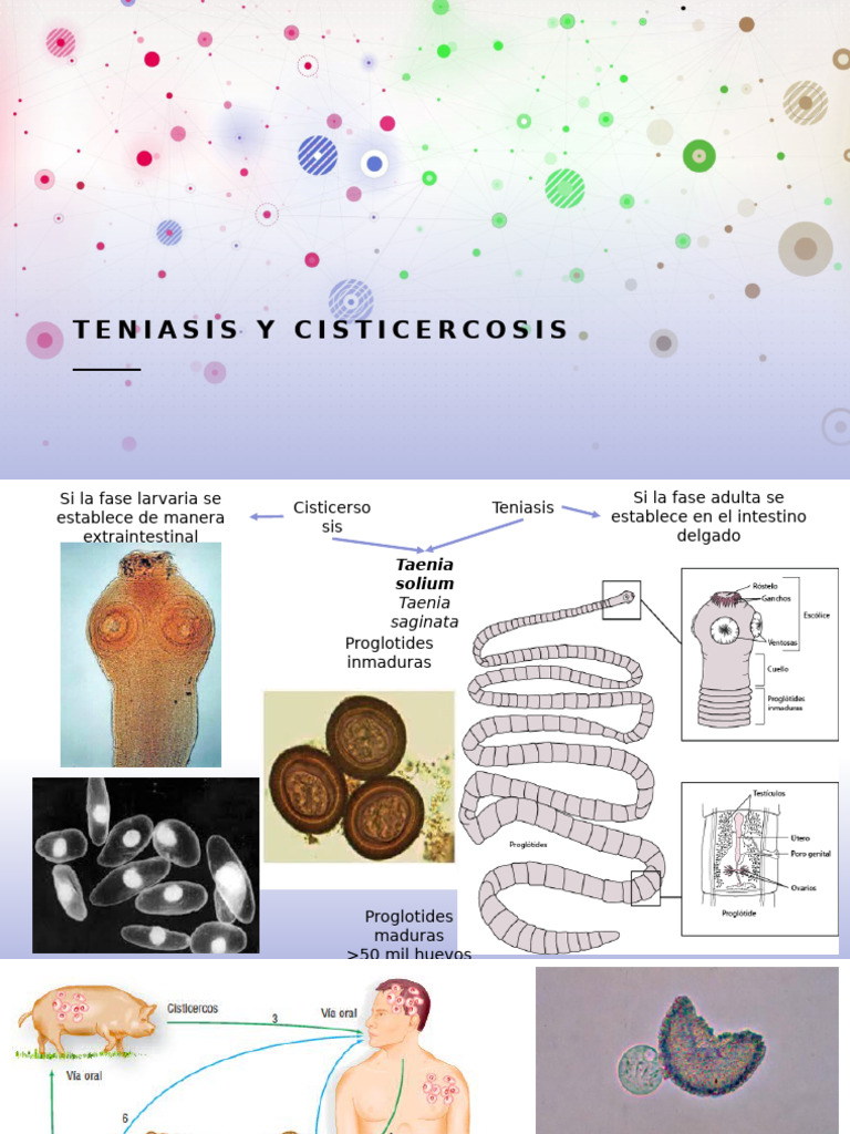Teniasis y Cisticercosis: Diagnóstico y Tratamiento | PDF ...