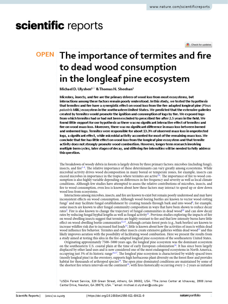 Termites | PDF | Wood | Fires