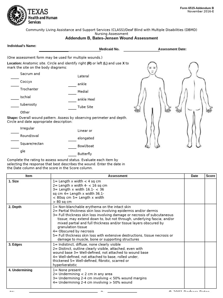 forhtml_form-6515-addendum-b-bates-jensen-wound-assessment-texas | PDF ...