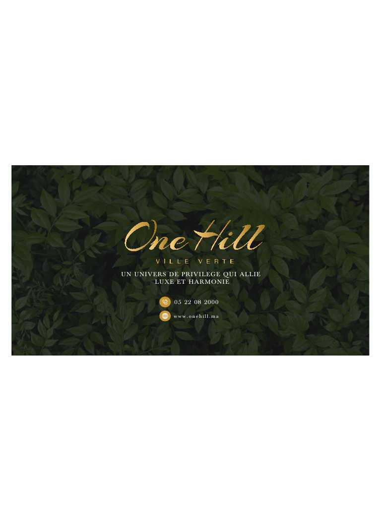 Projet one hill | PDF