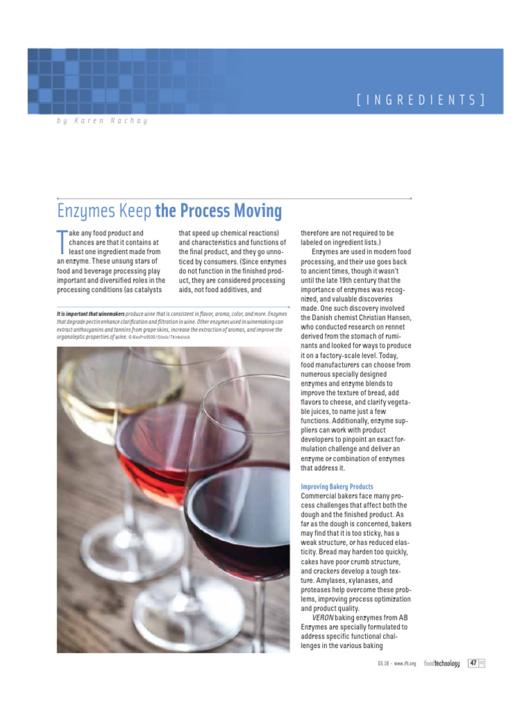 Enzymes Keep The Process Moving | PDF | Cheese | Breads