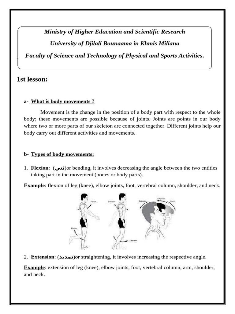 Understanding Body Movements and Sports | PDF | Anatomical Terms Of ...