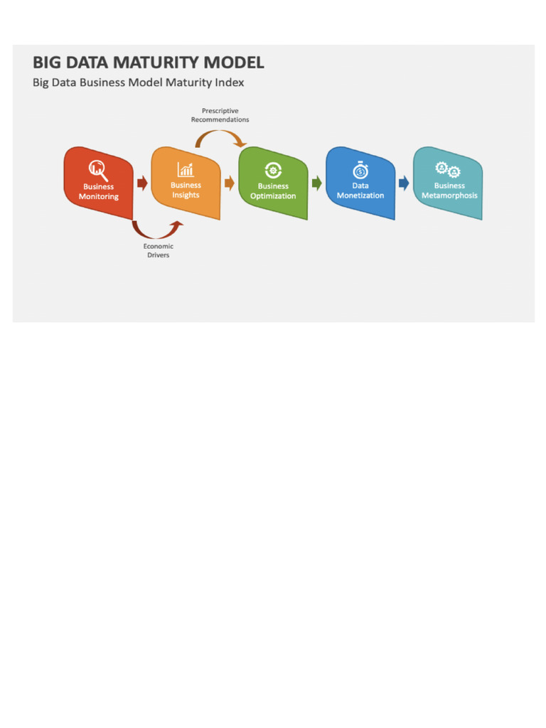 Bid Data Maturity Model Index | PDF