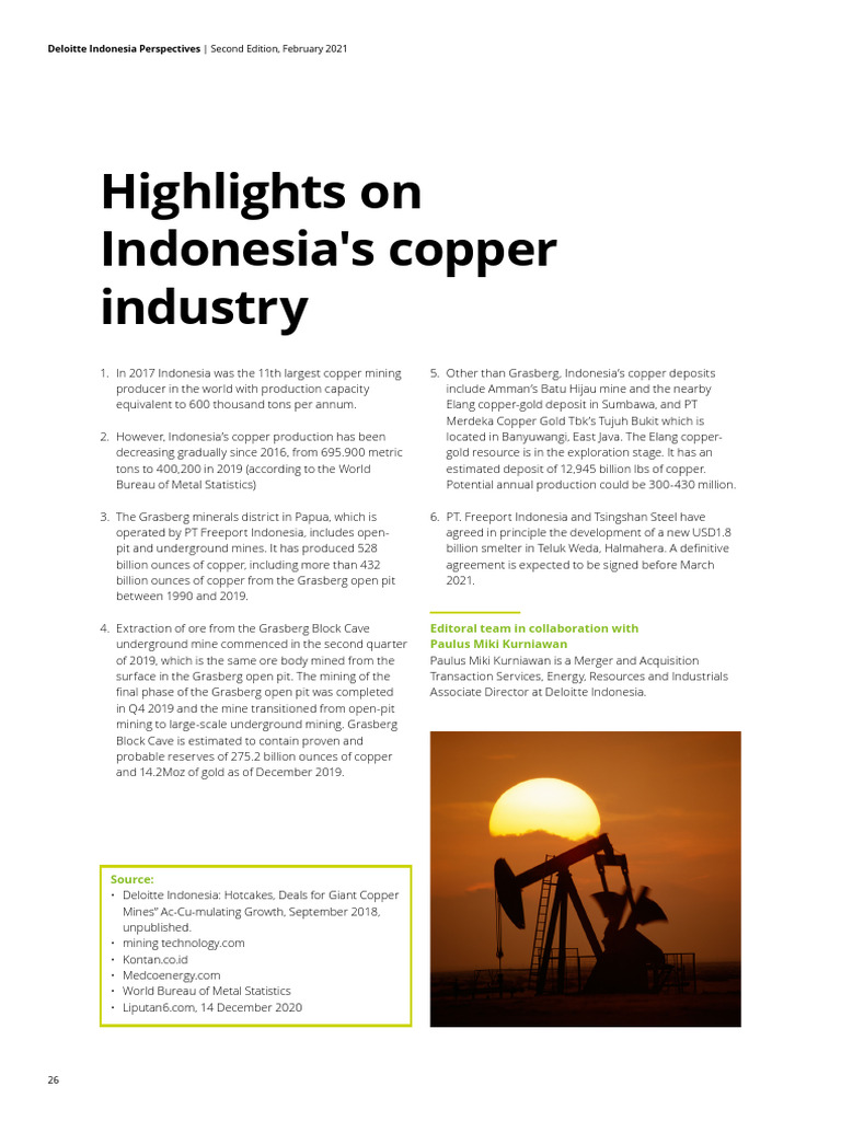 Id About Dip Edition 2 Chapter 5 en Feb2021 | PDF | Mining | Minerals