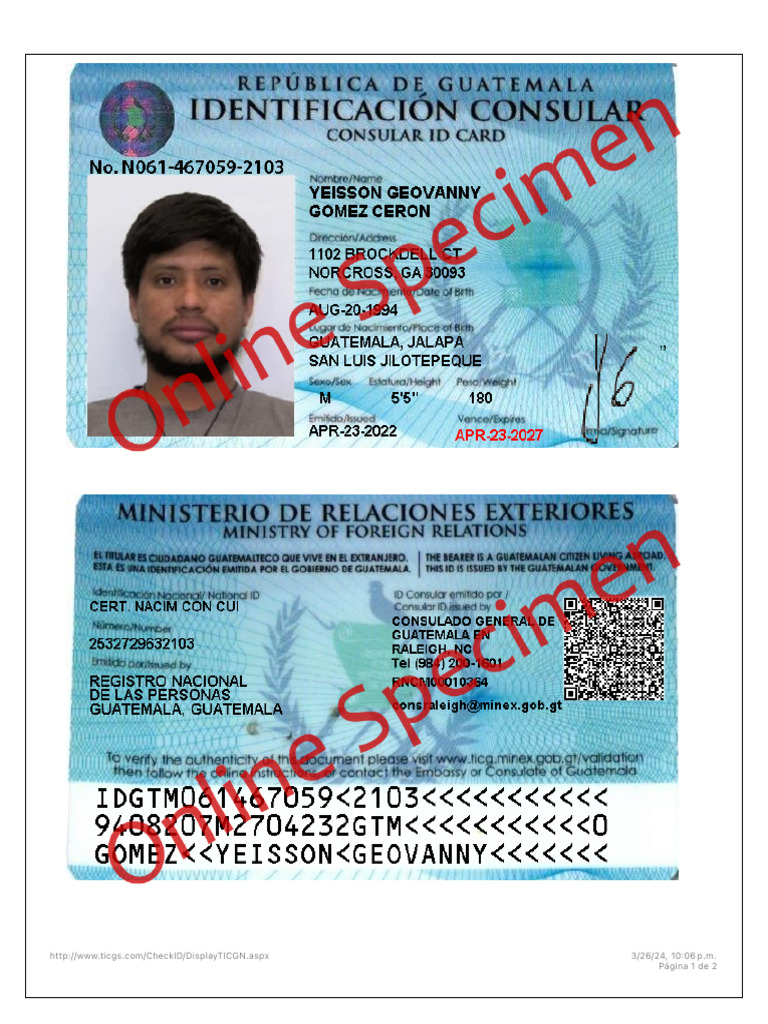 Información sobre TICGS y TICGRAM | PDF