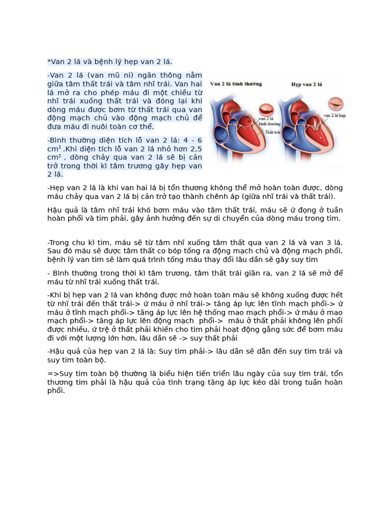 cls chặng 2 | PDF