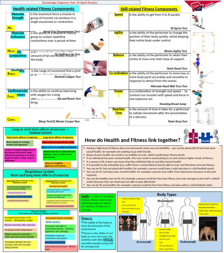 Health & Fitness Components Guide | PDF | Physical Fitness | Muscle
