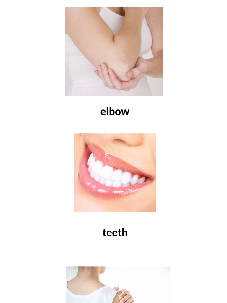 Body Part | PDF