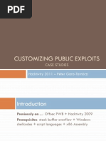 Customizing Public Exploits