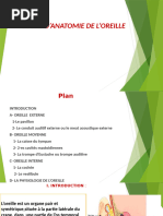 Anatomie Et La Physiologie de La Sphère Orl | PDF | Oreille | Son