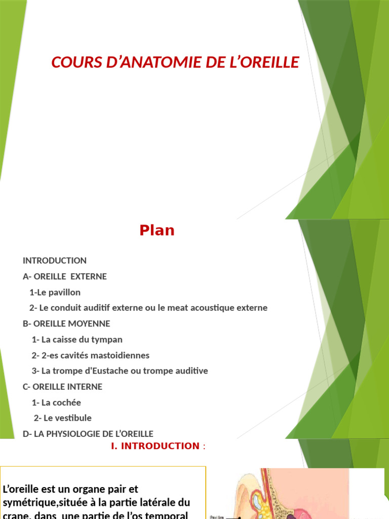 Anatomie et Physiologie de l'Oreille | PDF | Oreille | Sens (physiologie)