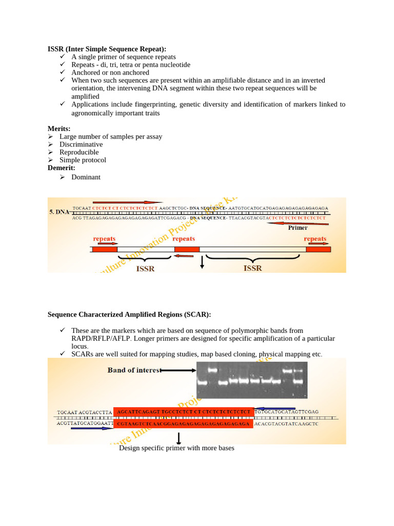 Molecular Markers - 1 | PDF | Microsatellite | Single Nucleotide ...