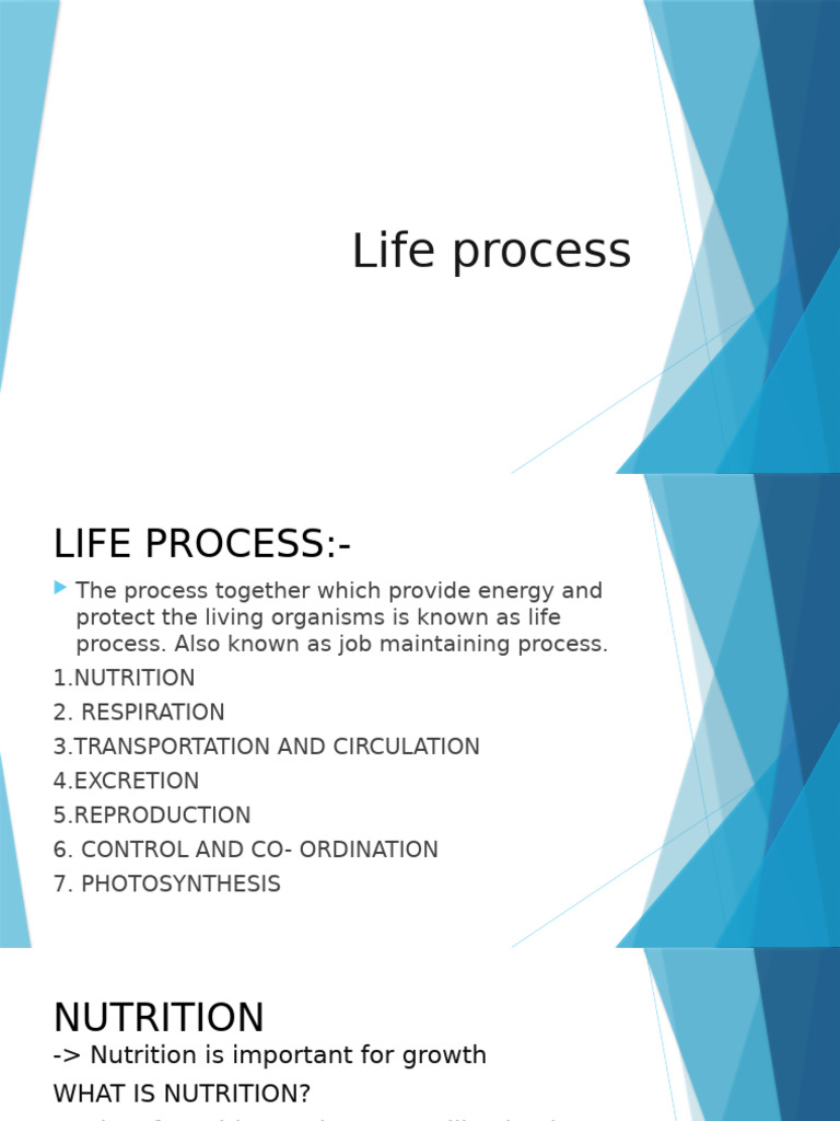 Key Life Processes in Biology | PDF