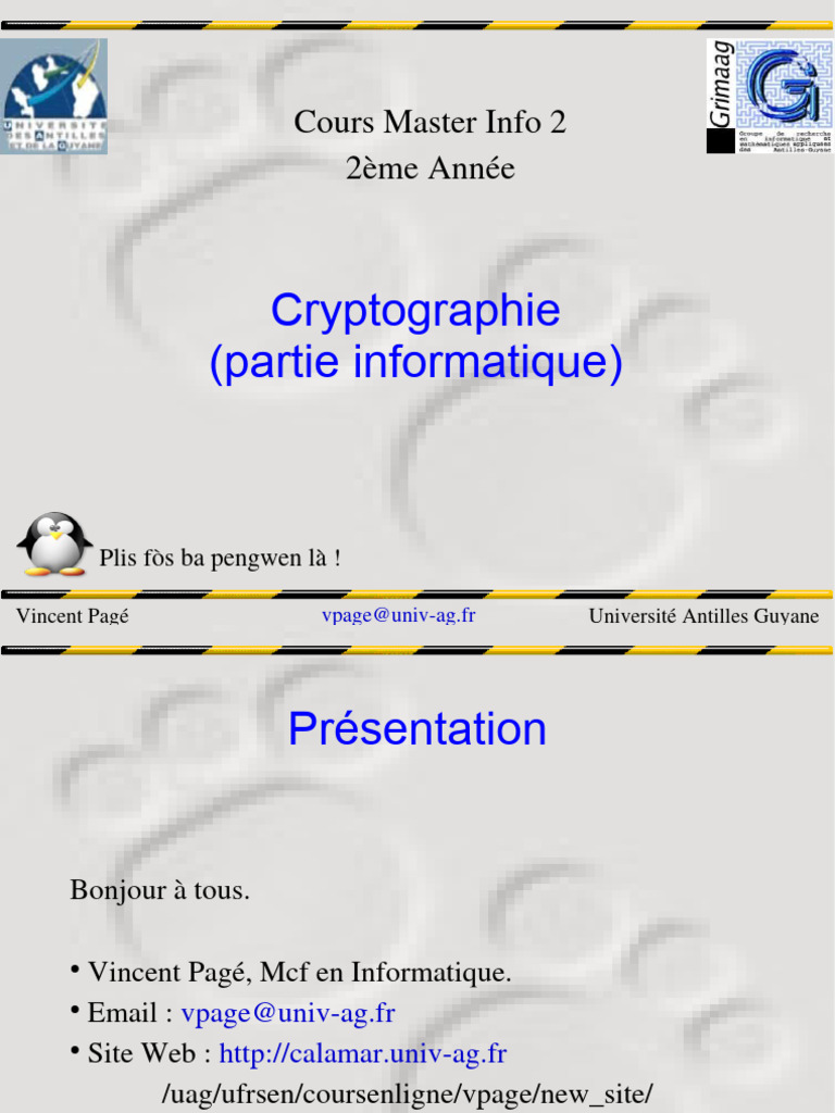 Introduction à la cryptographie en info | PDF | Public-key cryptography ...