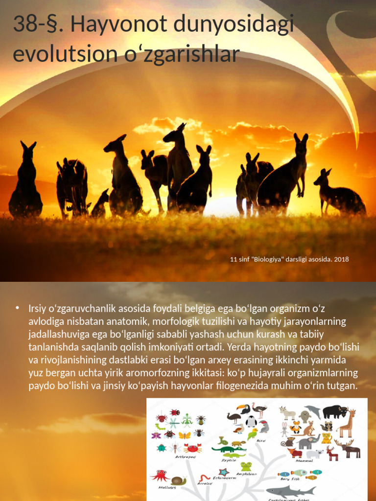 Mening trans kelin porno