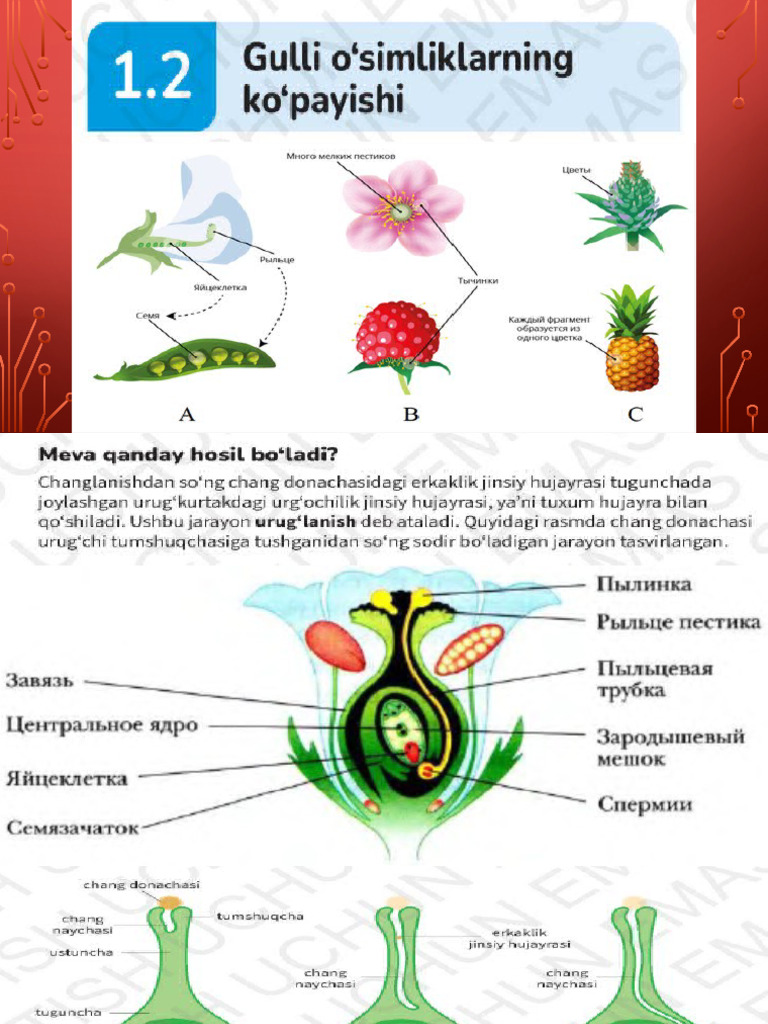 Pavlodarda virtual jinsiy aloqa