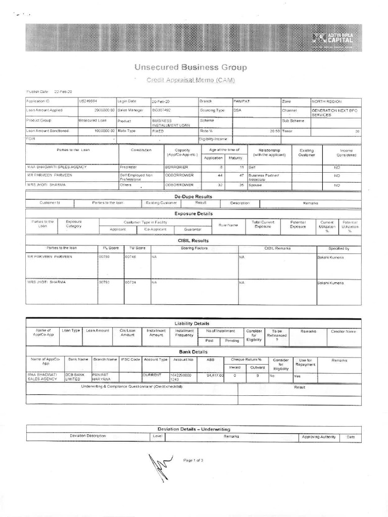 Cam, Cibil Report and Fi Report | PDF