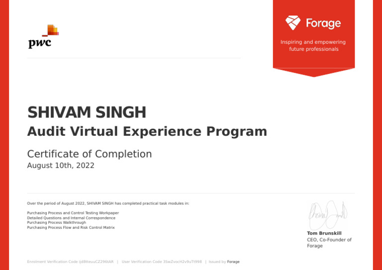 Audit Virtual Program PWC | PDF