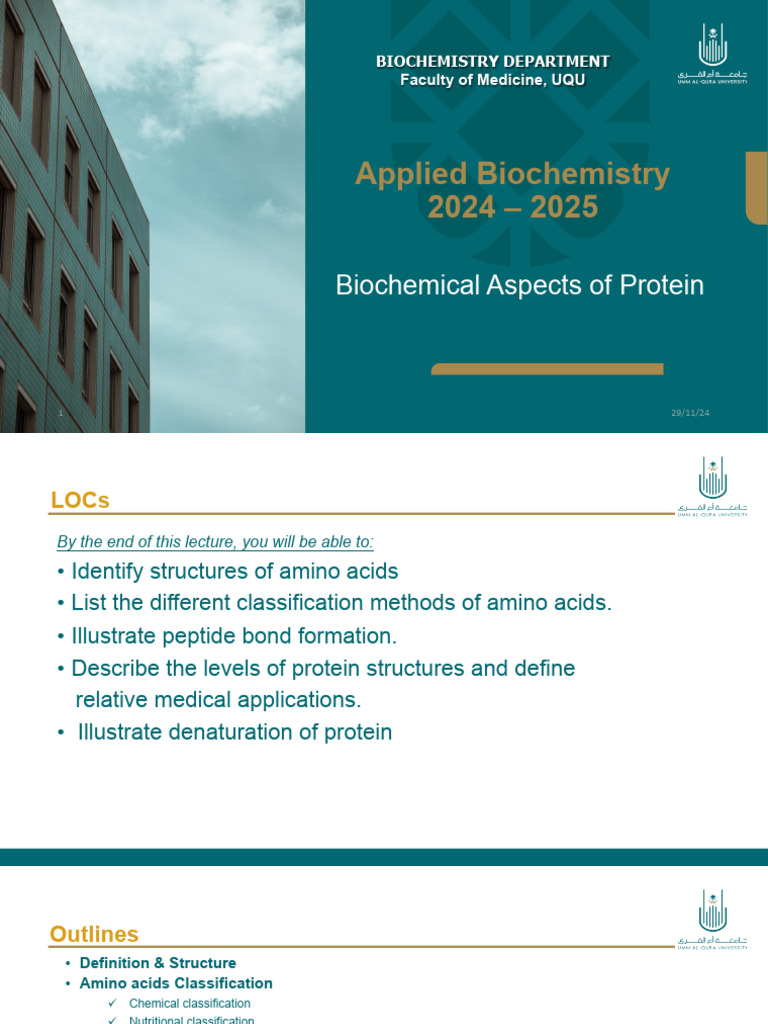 Lect 3 Protein | PDF | Protein Structure | Amino Acid