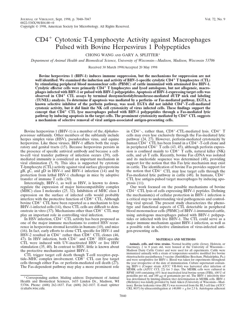 CD4 Cytotoxic T-Lymphocyte Activity Against | PDF | Cytotoxic T Cell ...