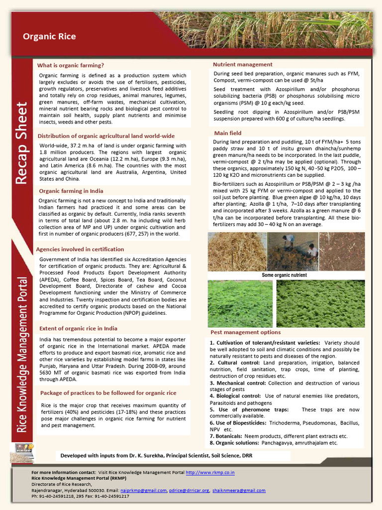 Organic Rice Farming Practices in India | PDF | Agriculture | Organic ...