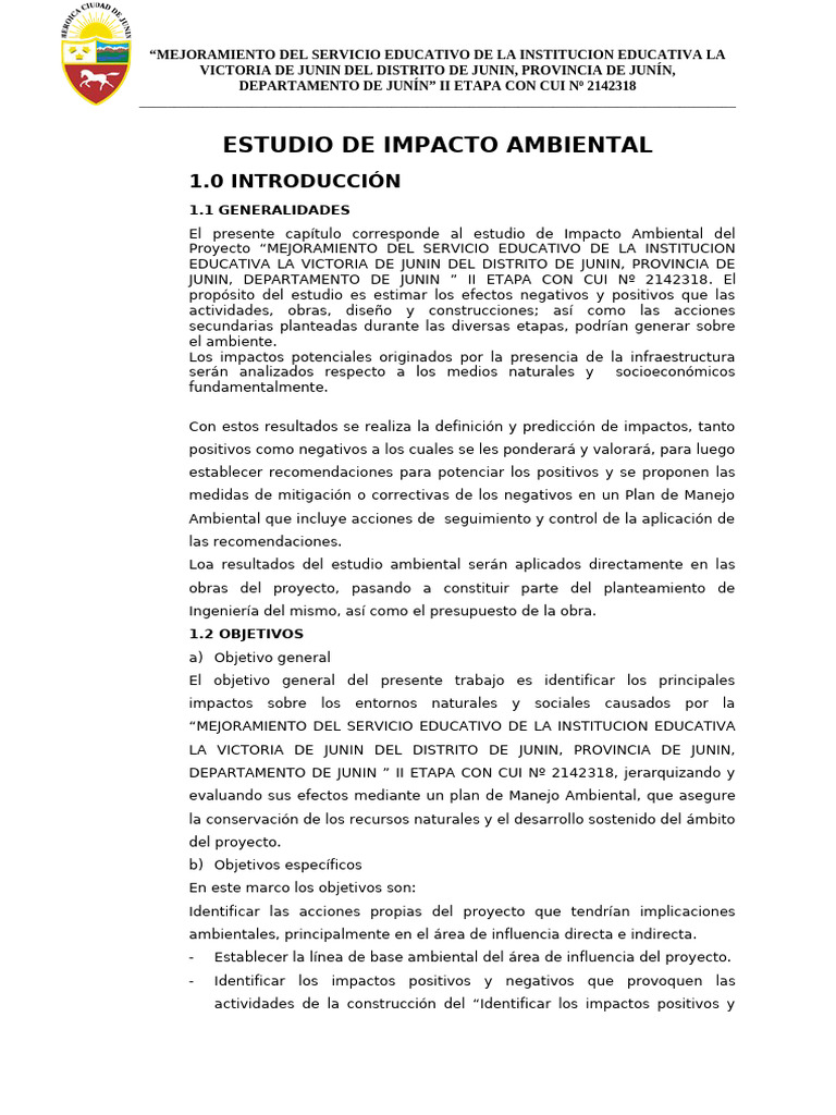 Estudio de Impacto Ambiental en Junín | PDF | Evaluación de impacto ...