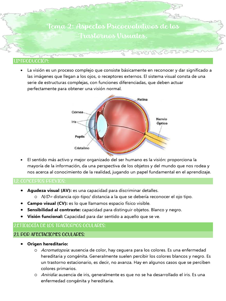 Trastornos Visuales: Causas y Efectos | PDF | Ojo humano | Discapacidad ...