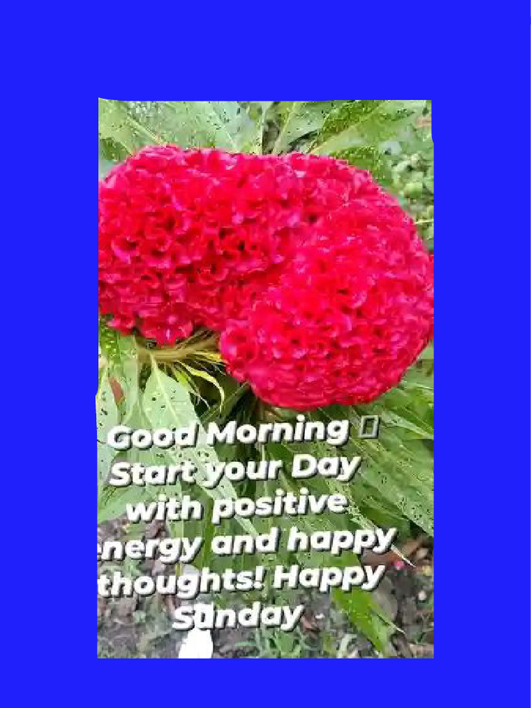 Learning Experience In English Pdf